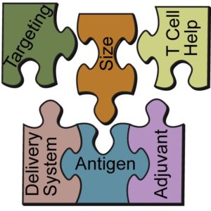 Vaccine Components